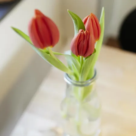 Rotes Bienenhaus *